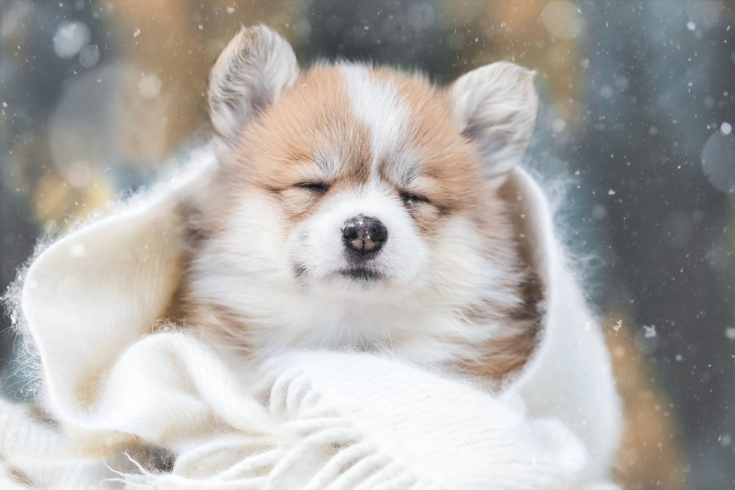 , Мороз Ирина