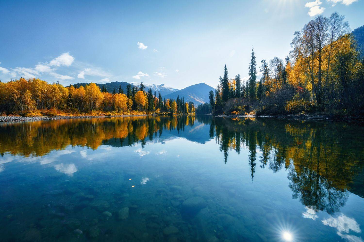 , Nikitin Alexander