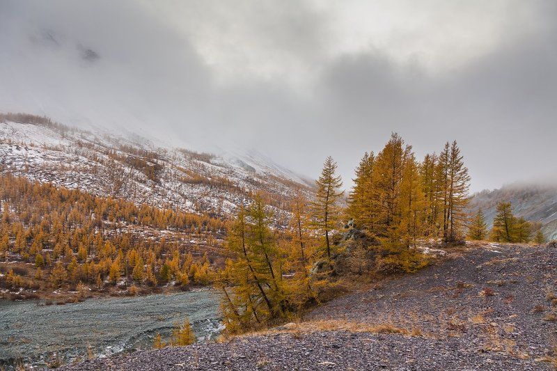 У края мглы фото превью