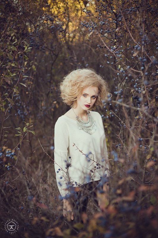 Теплый закат холодного октября фото превью