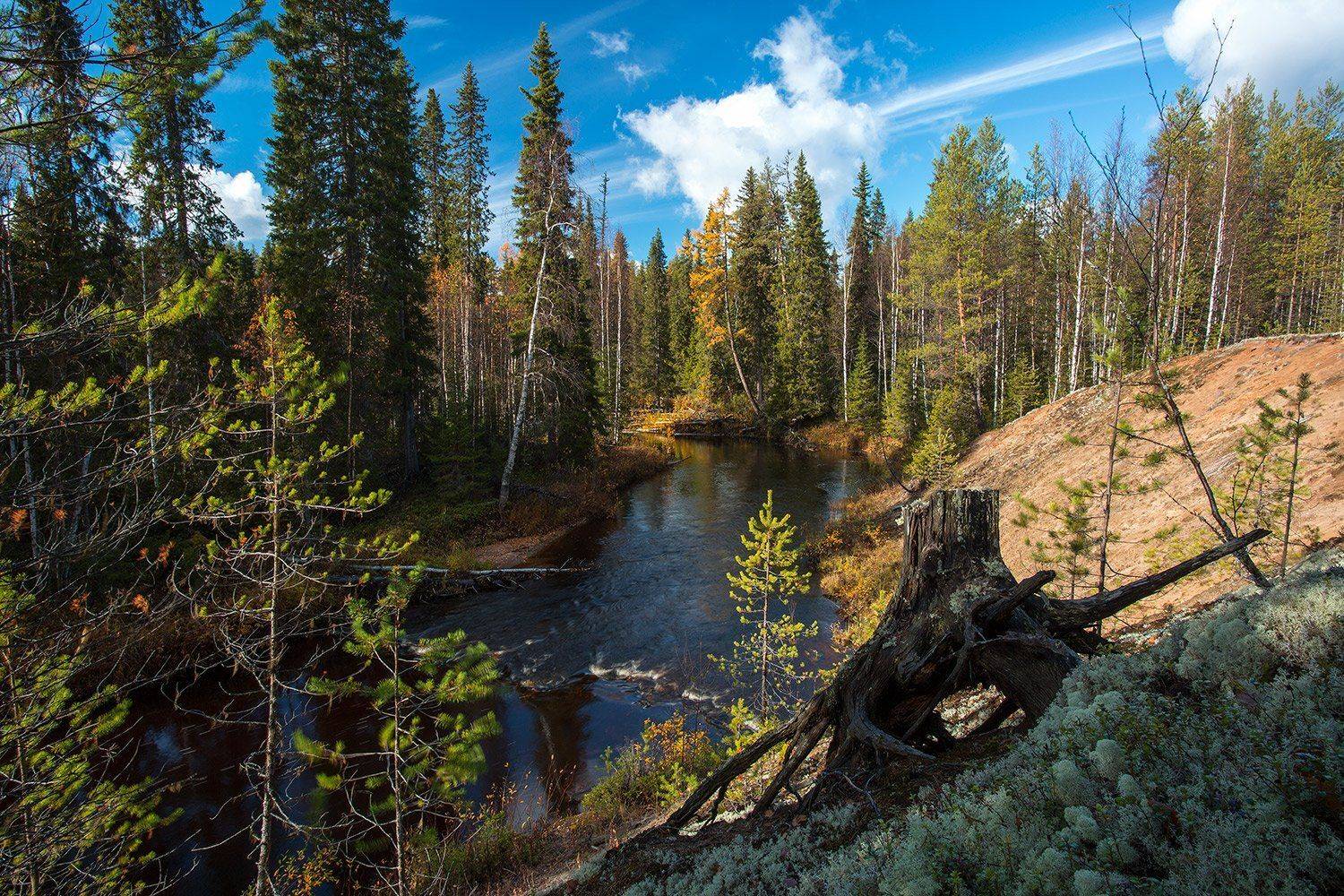 , Поташев Александр