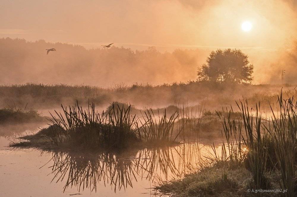 , Katarzyna Gritzmann