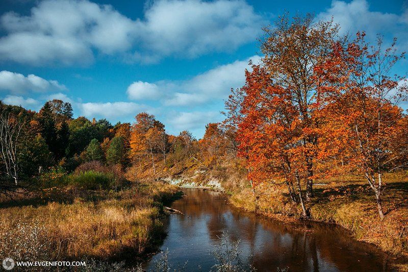 пейзаж,природа,осень,день,золотая,ноябрь,октябрь,солнце,landscape,autumn,nature,sky,day,gold Тёплое Осеннее фото превью