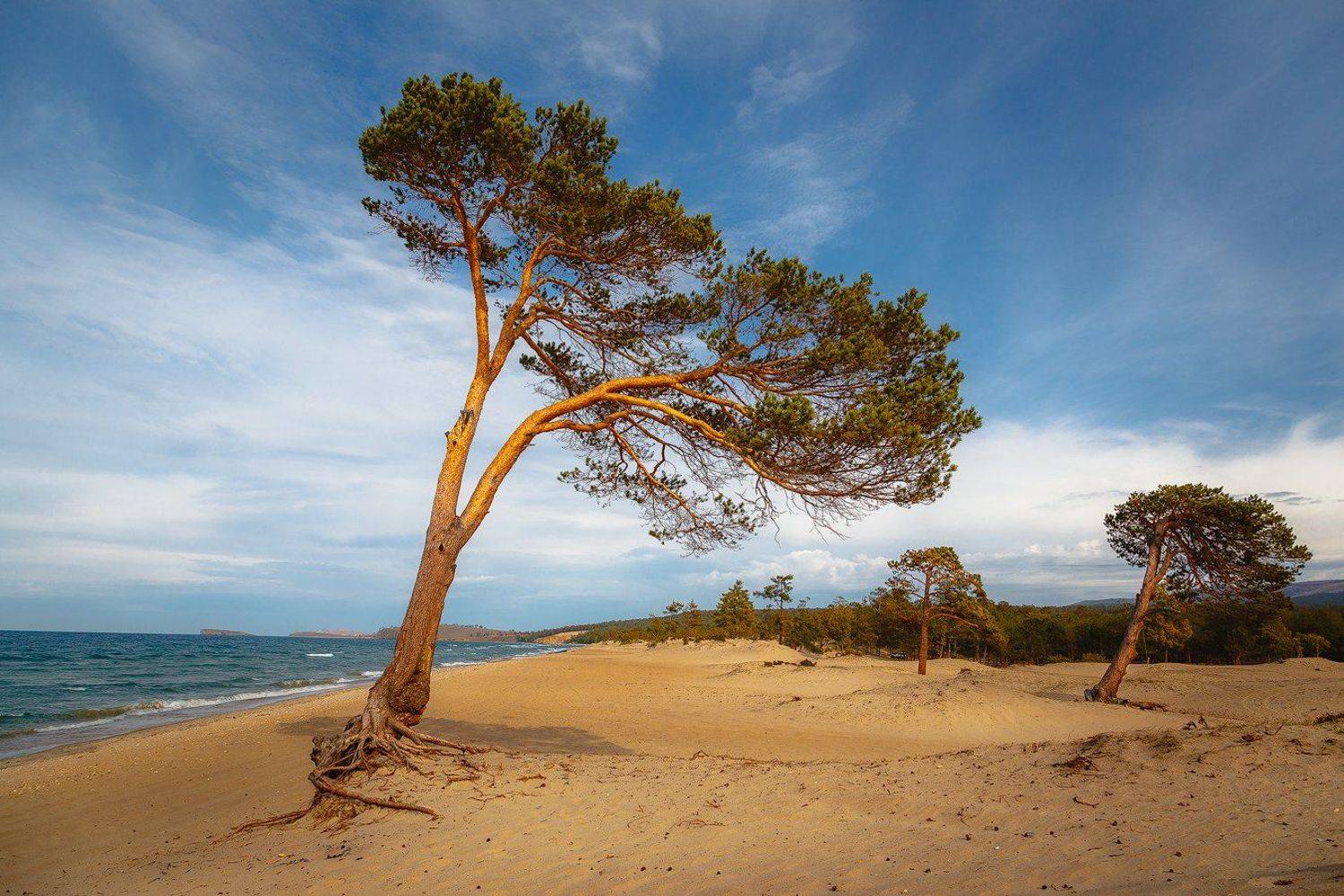 , Минаев Павел