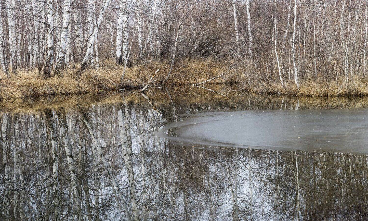 , Лещёнок Александр