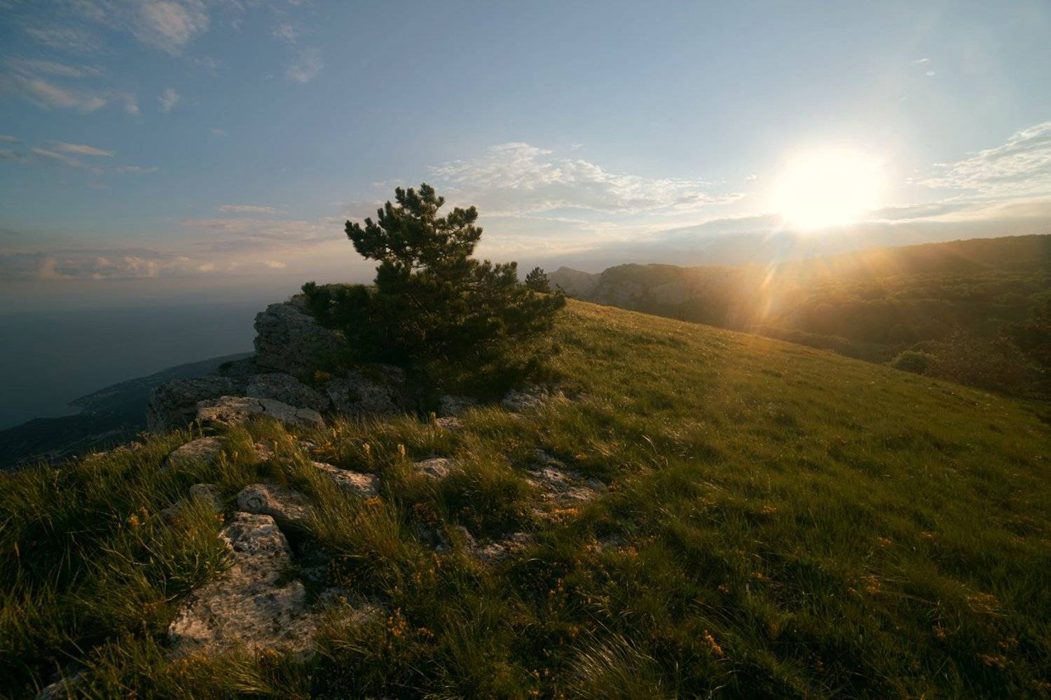 , Гоголев Андрей