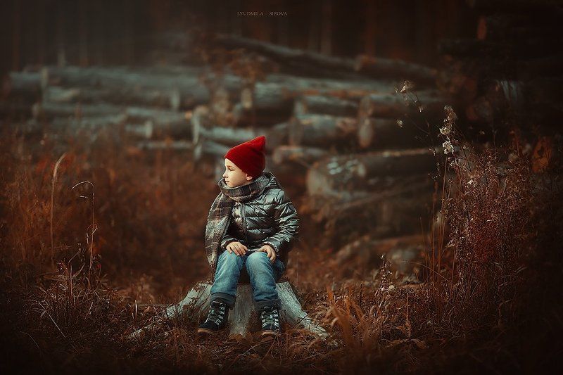 на пне фото превью