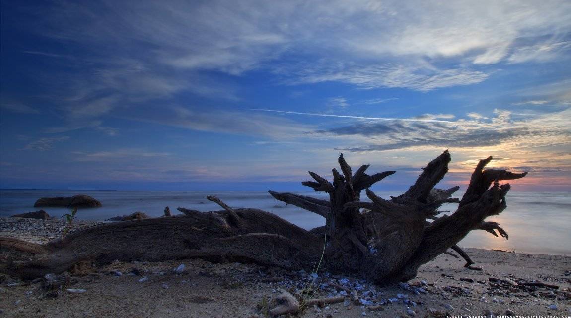 Рыбинское, Ярославская область, Алексей Лобанов