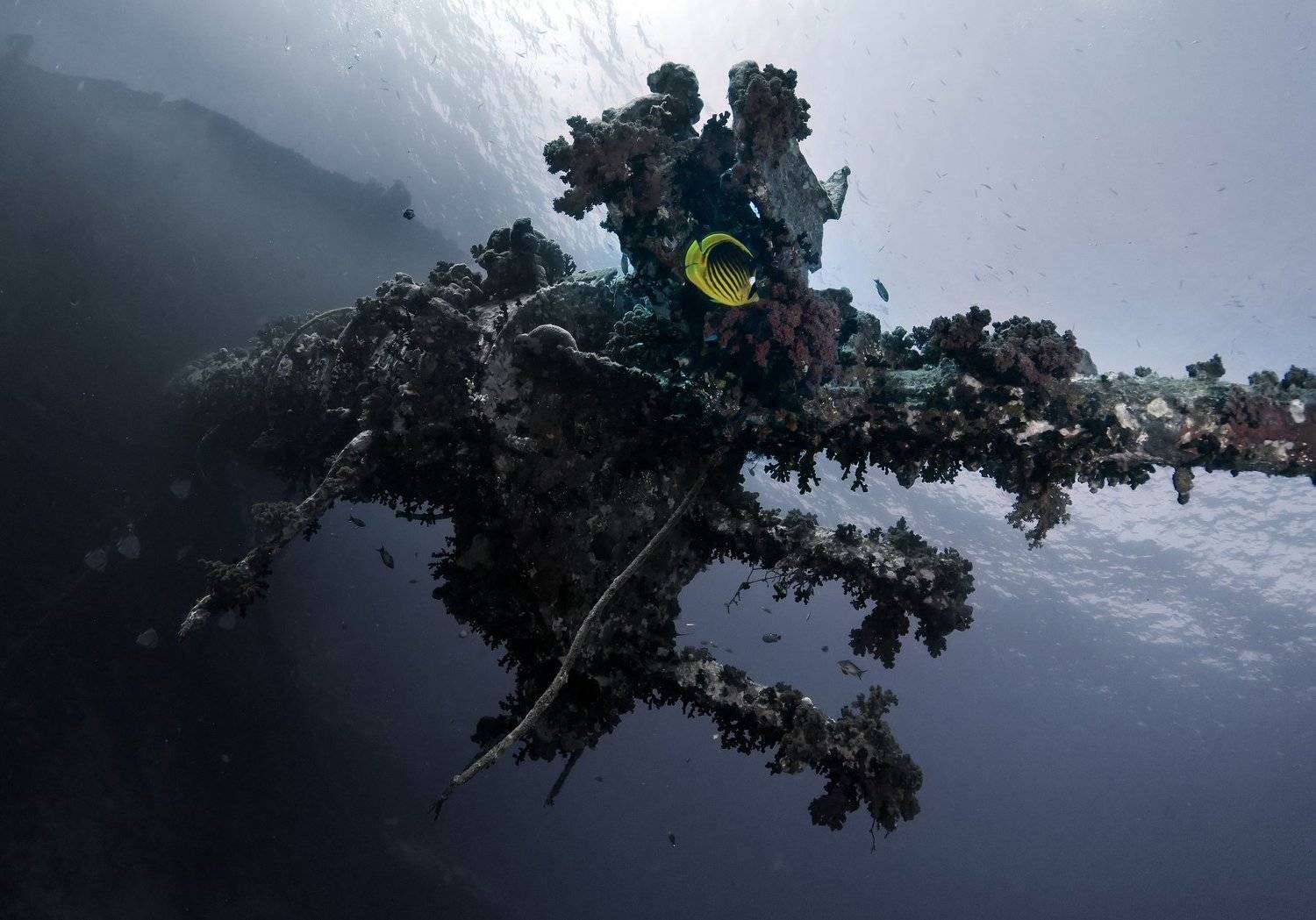 , Степан Решетников