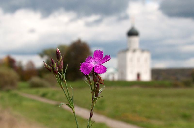 храм покрова на нерли, русь, россия, православие, 850-летие, боголюбово Храм фото превью