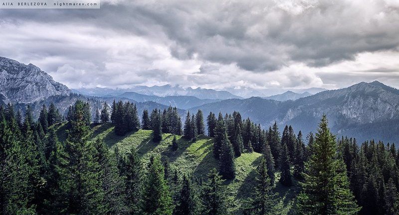 Alps, Clouds, Forest, Germany, Grass, Green, Mountains, Sky, Trees, Альпы, Германия, Горы, Лес, Небо, Облака Füssen area фото превью