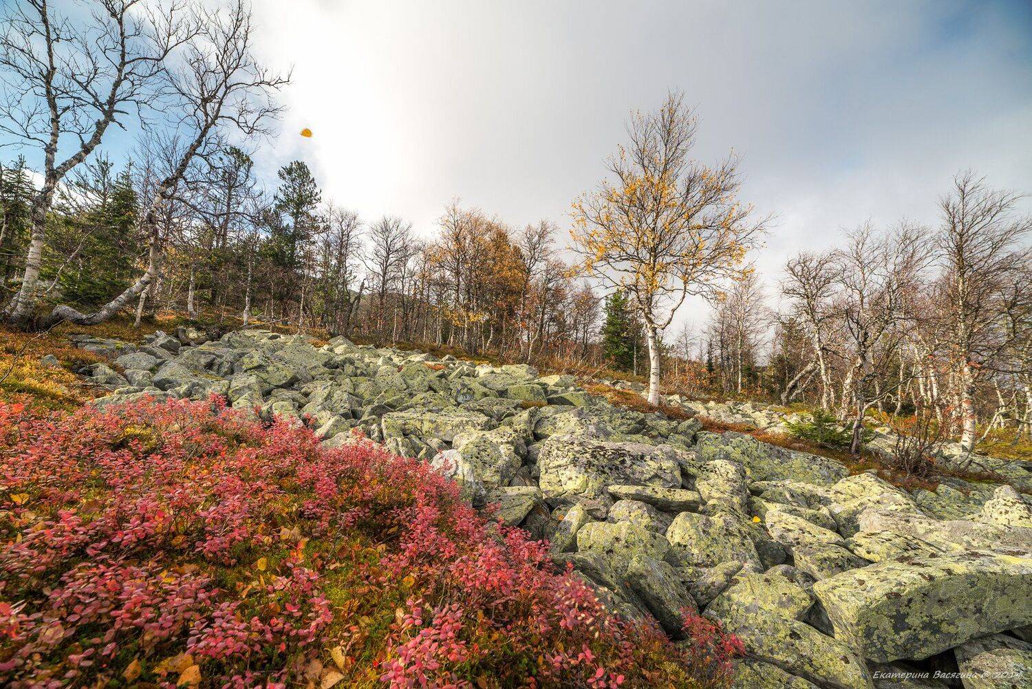 куремник, осень, гух, урал, северный урал, Екатерина (PhotoJourneys.ru) Васягина
