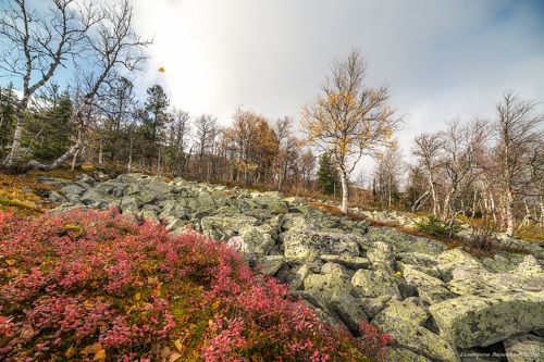 Уральские мотивы осени...