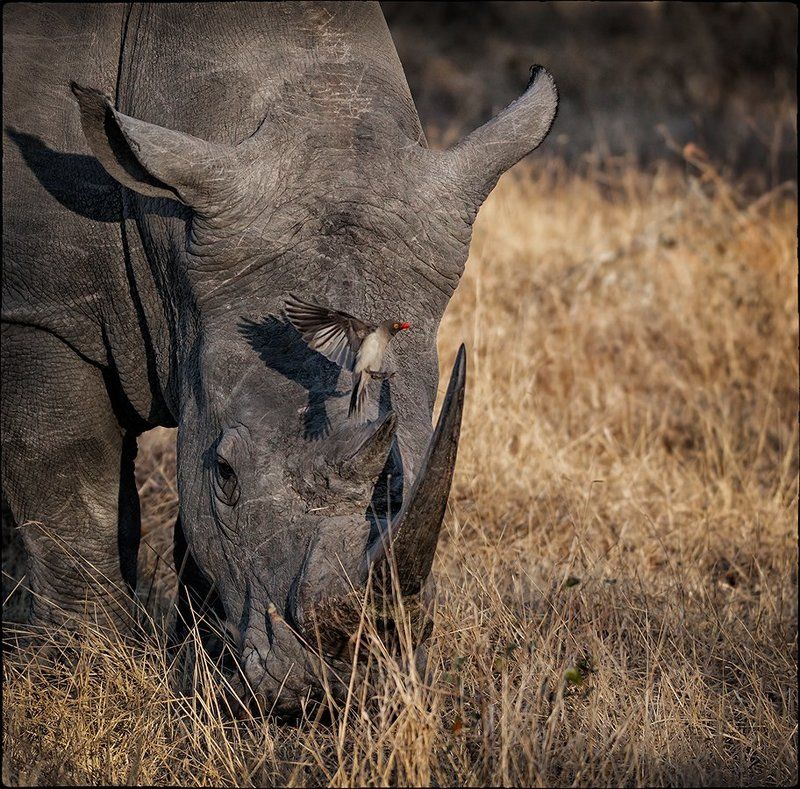 Аэропорт фото превью