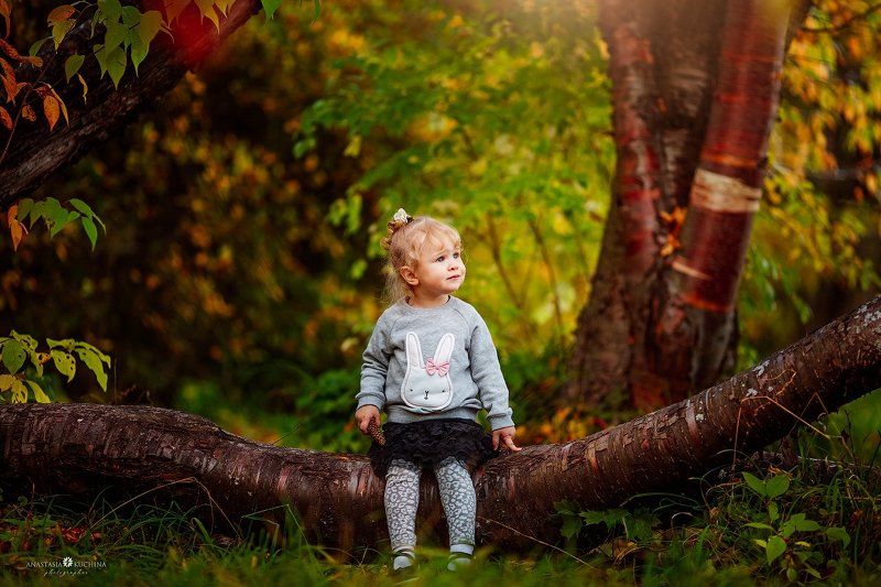 девочка, осень, дерево, лес В осеннем лесу фото превью