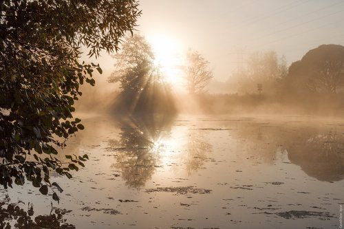 Утро в Измайловском парке