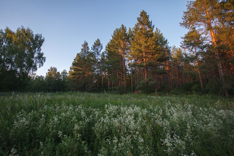 * фото превью