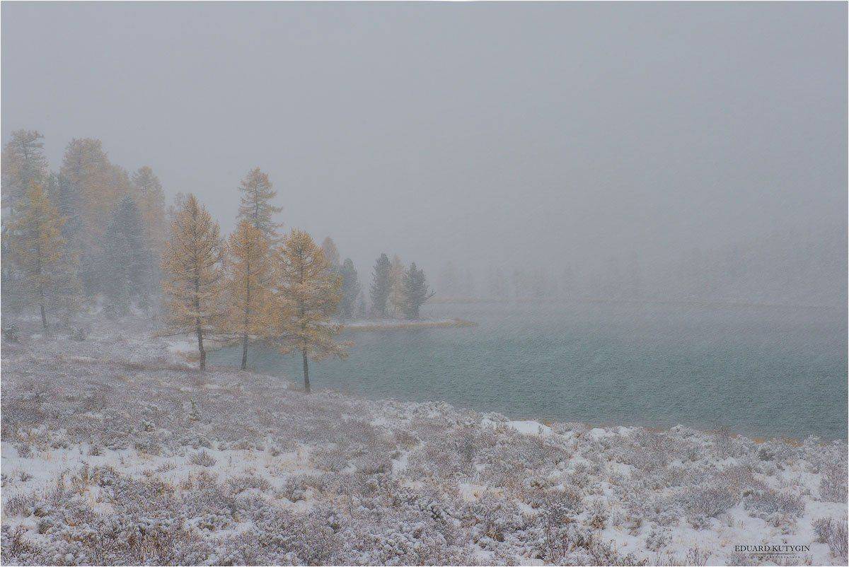 , Кутыгин Эдуард