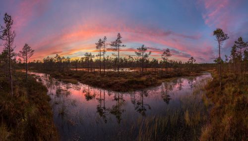 Розовые сумерки.