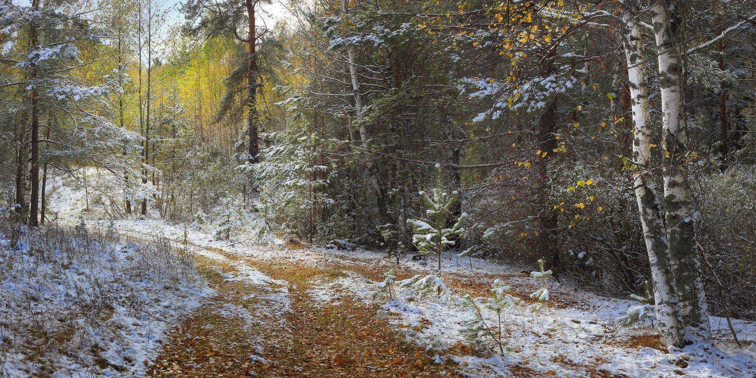 , Дмитрий Алексеев