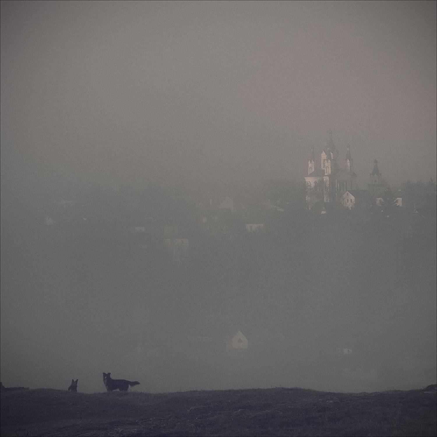 , Виктор Попиль