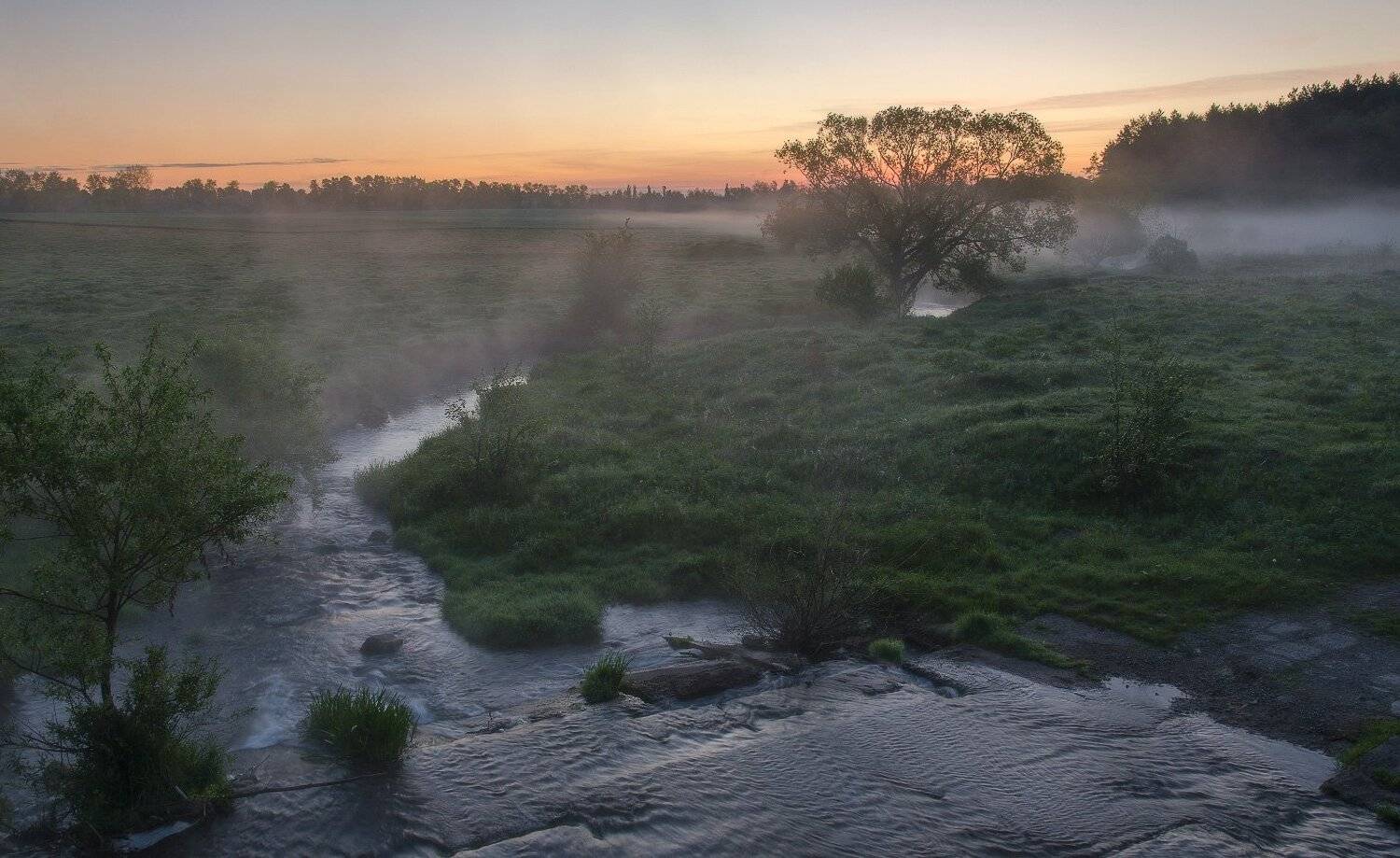 , Сергей Добровольский