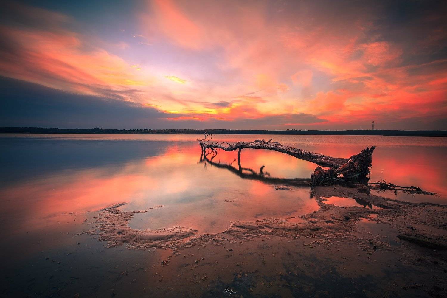 Colors, Curoniain gulf, Curonian spit, Reflection, Sunset, Tree, Руслан Болгов (Axe)