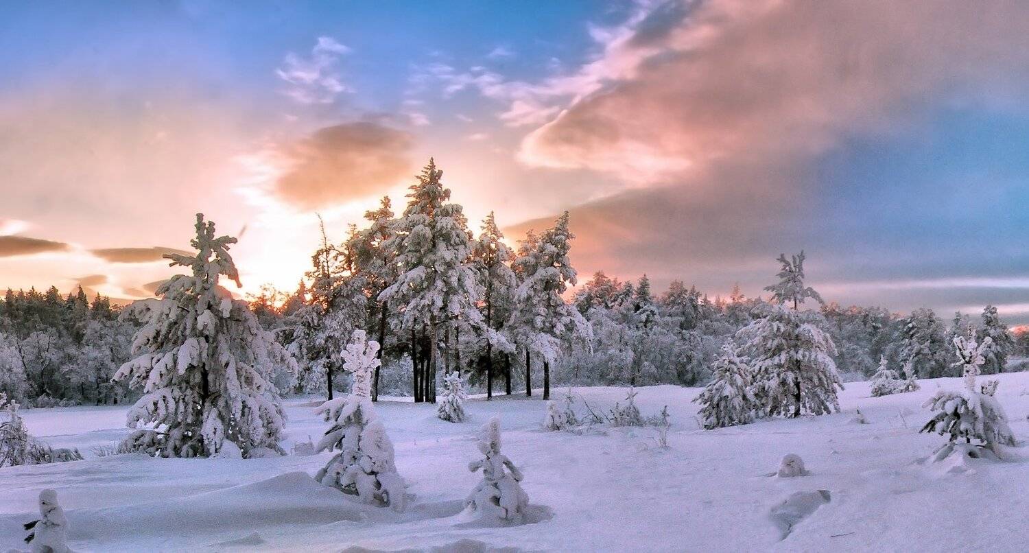 , Клековкин Алексей