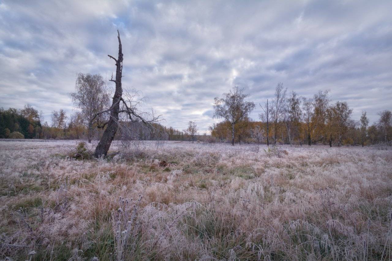 , Жмак Евгений