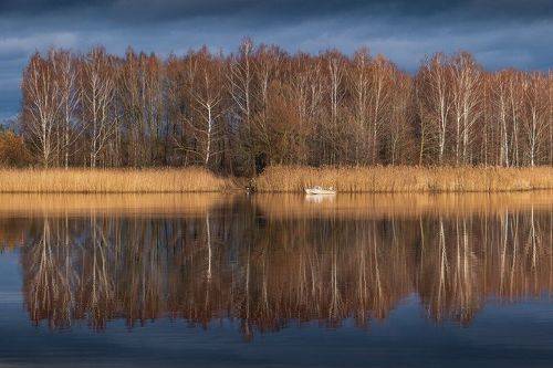 Last autumn days