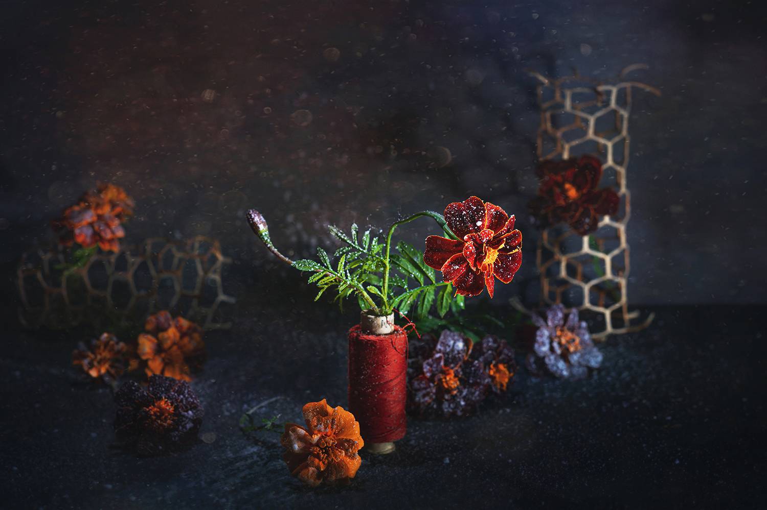 , MVO (Марк Орлов)