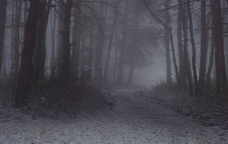 Туманный рассвет фото превью