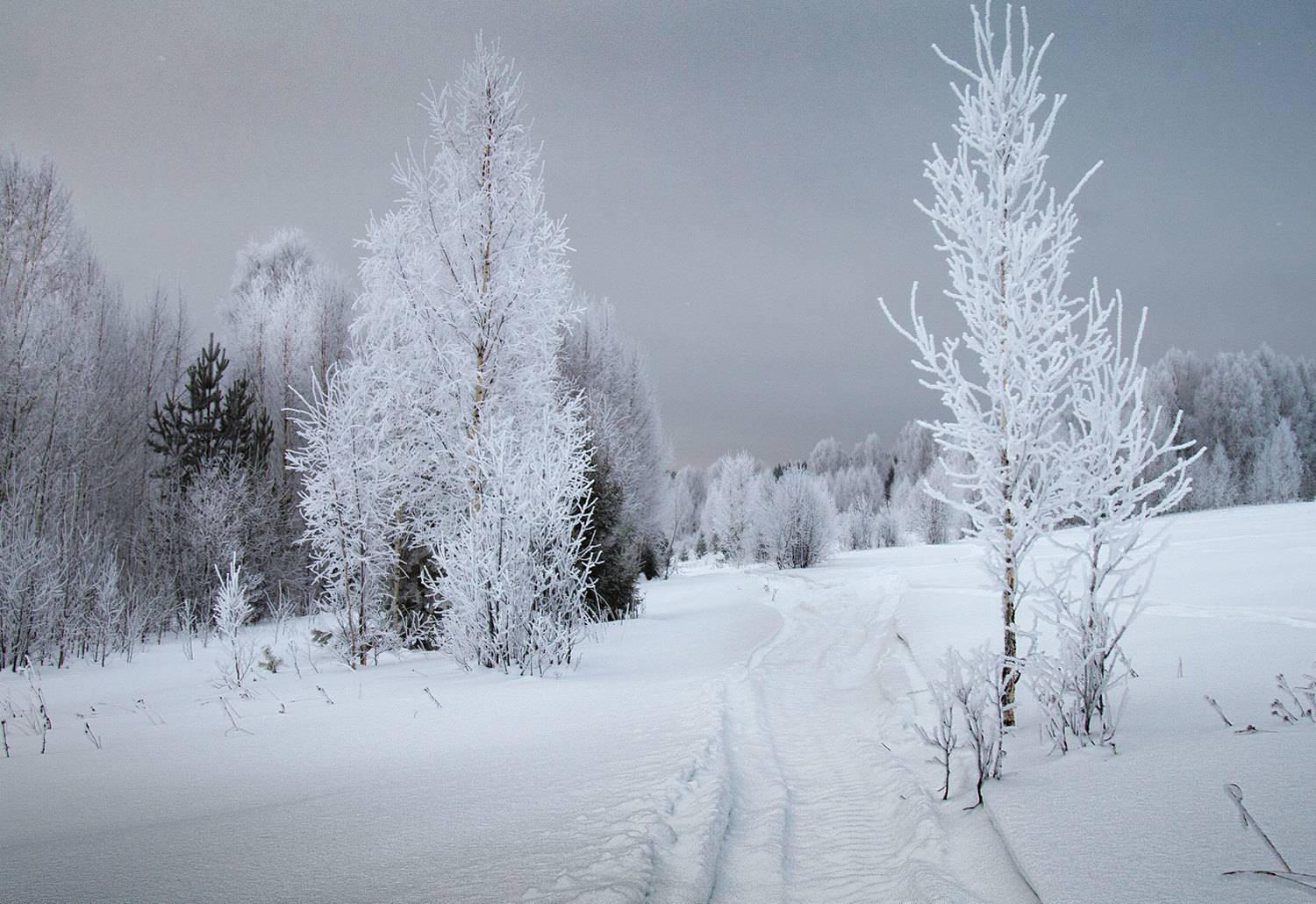 , Александр  Швачко