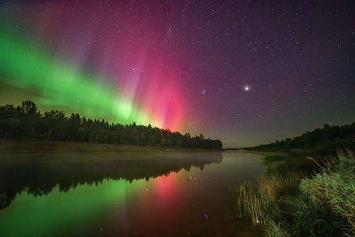 Ожидая Аврору