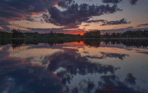 В белую ночь