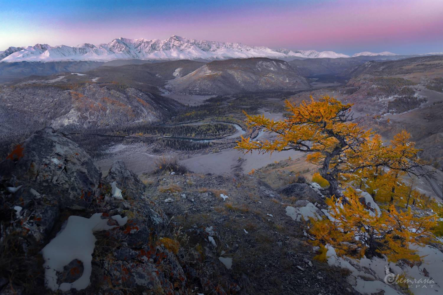 , Светлана Крат