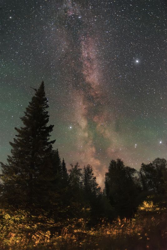 ночь, астрофотография, астрофото, млечный путь, звездное небо, тайга, сибирь, night, nightphotography, stars, milkyway, longexposure, taiga, wood Таежная ночь фото превью