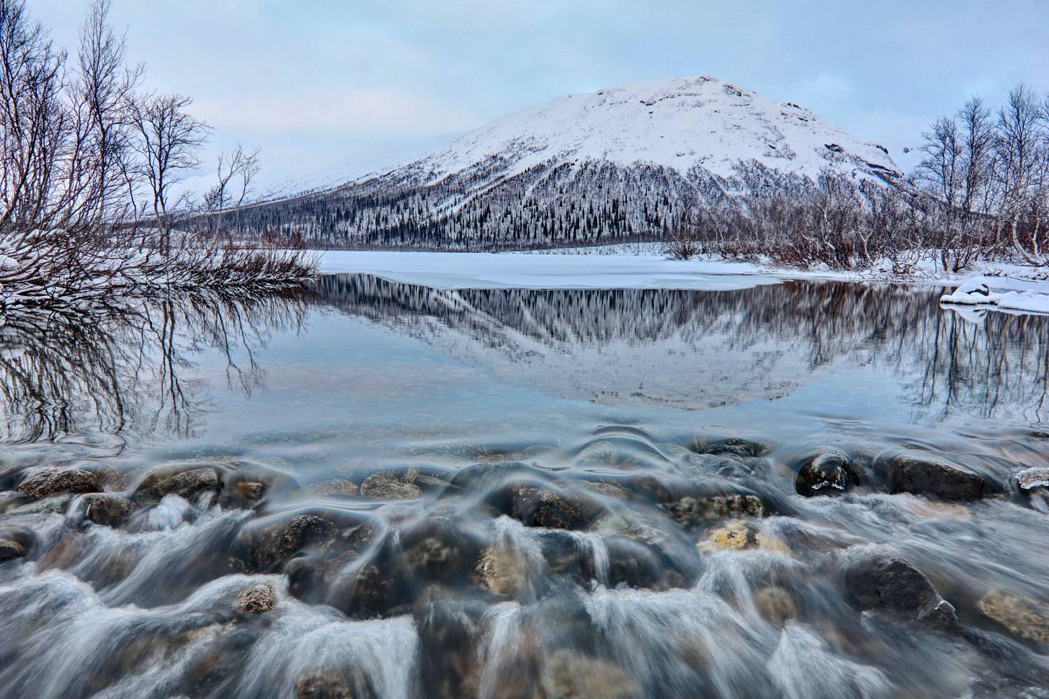 , Добролюбова Тамара