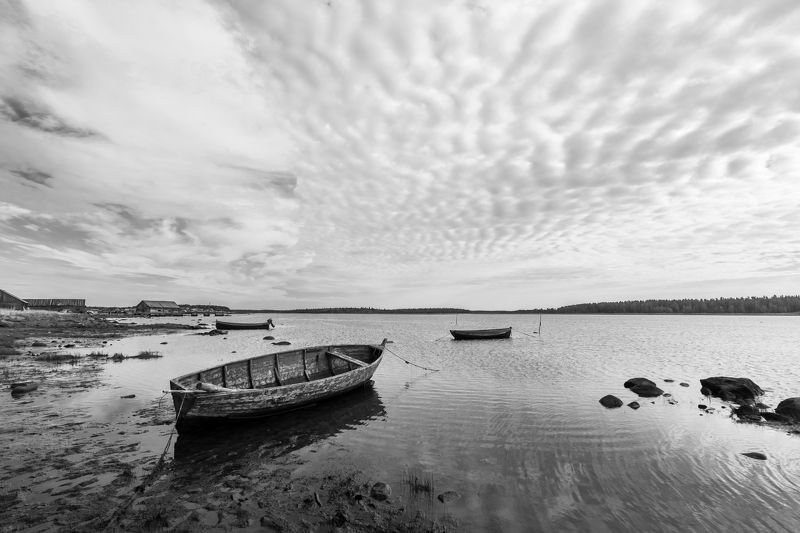 белое море, калгалакша *** фото превью