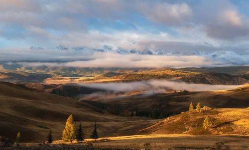 Легкий утренний туман