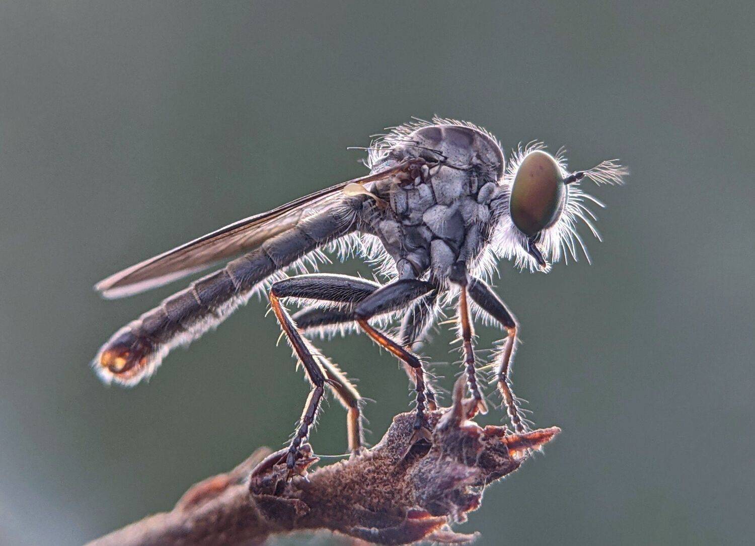 , QUYET NGUYEN TRONG