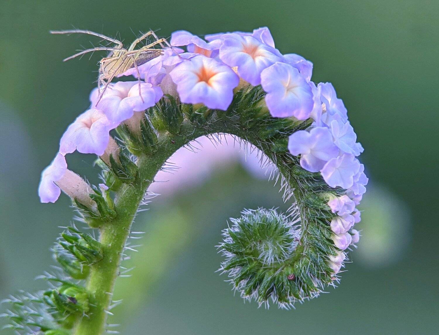 , QUYET NGUYEN TRONG