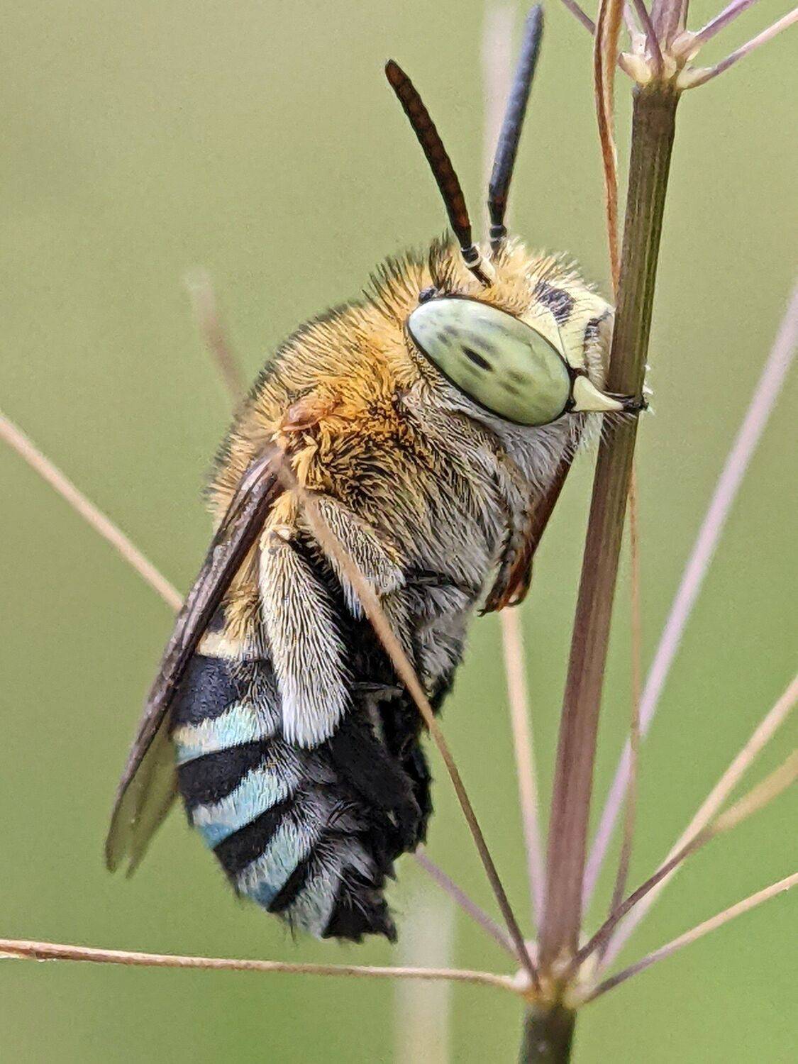 , QUYET NGUYEN TRONG