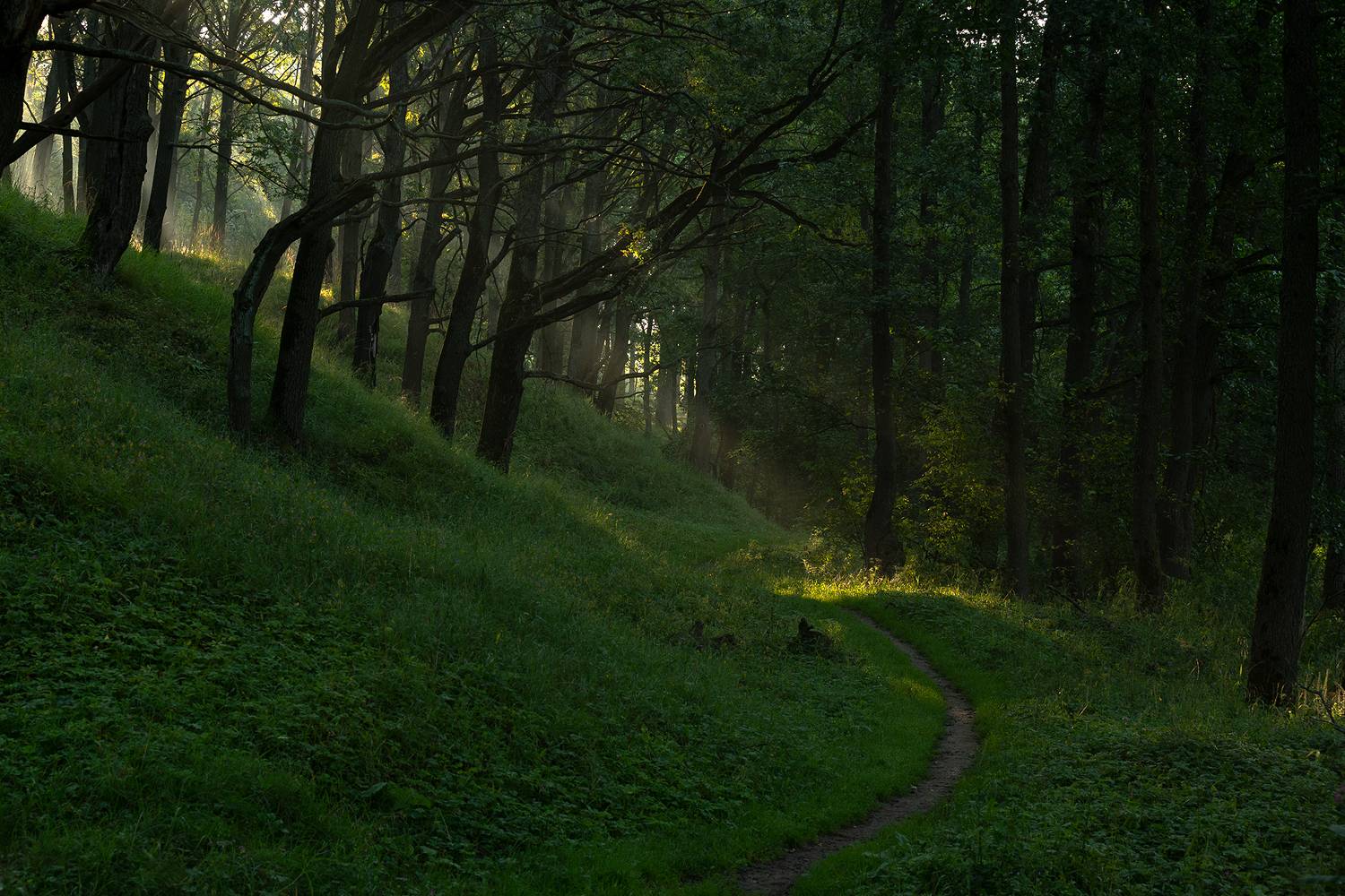 , Стрельцов Виталий