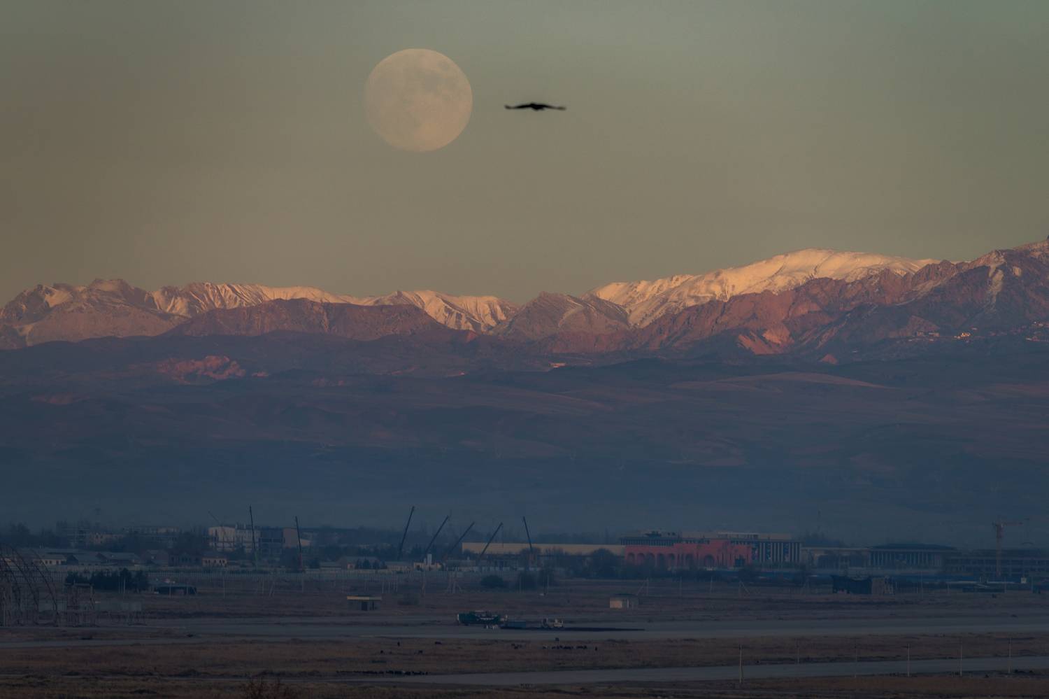 ташкент, Tsybenko Kirill