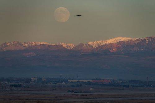 Beaver Moon Rising