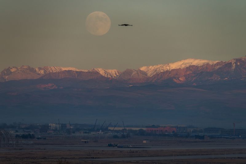 ташкент Beaver Moon Rising фото превью