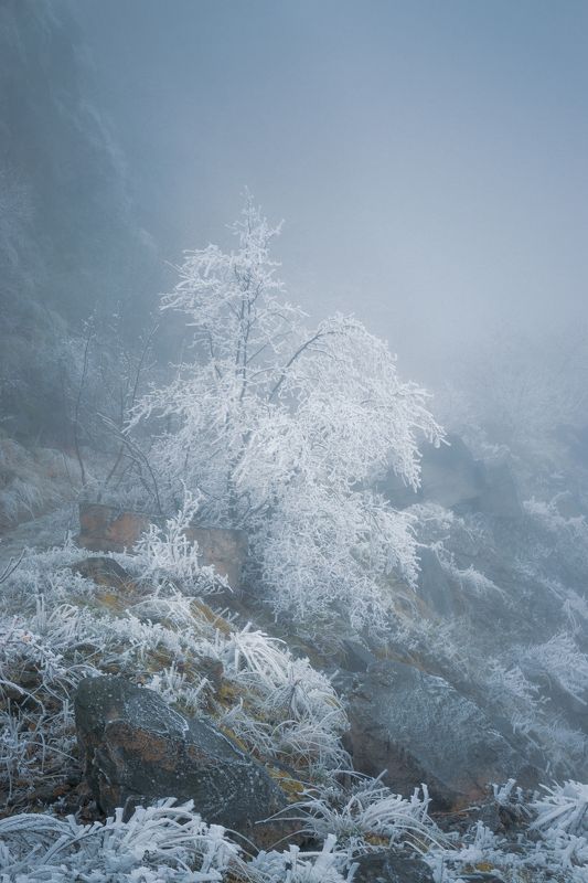 туман, кмв, змейка, иней, зима Зима на горе Змейка фото превью