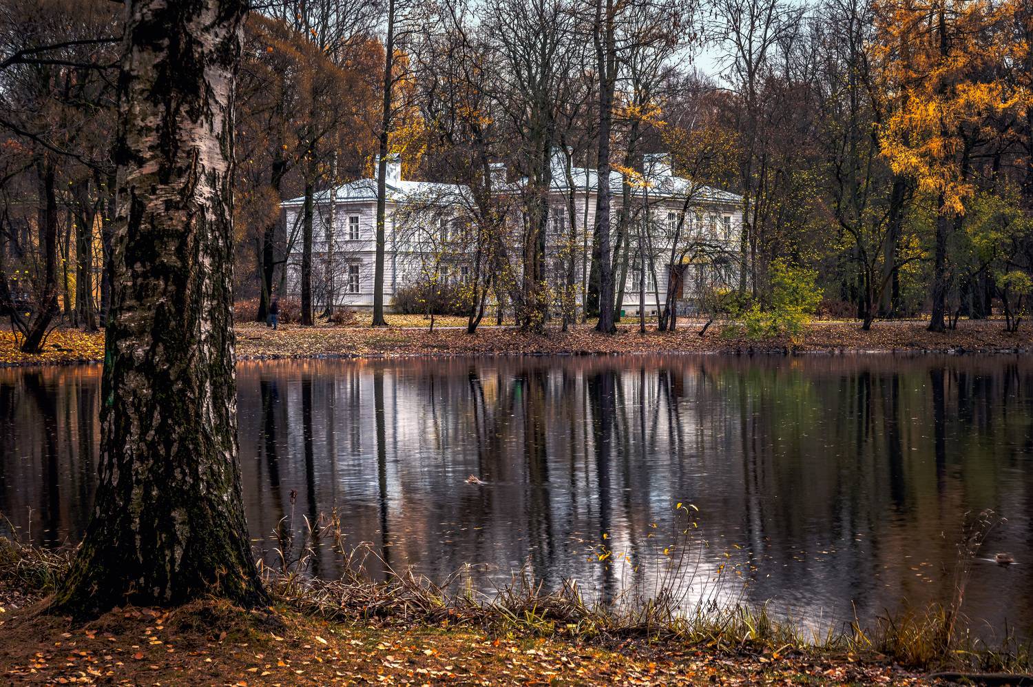 , Васильев Андрей