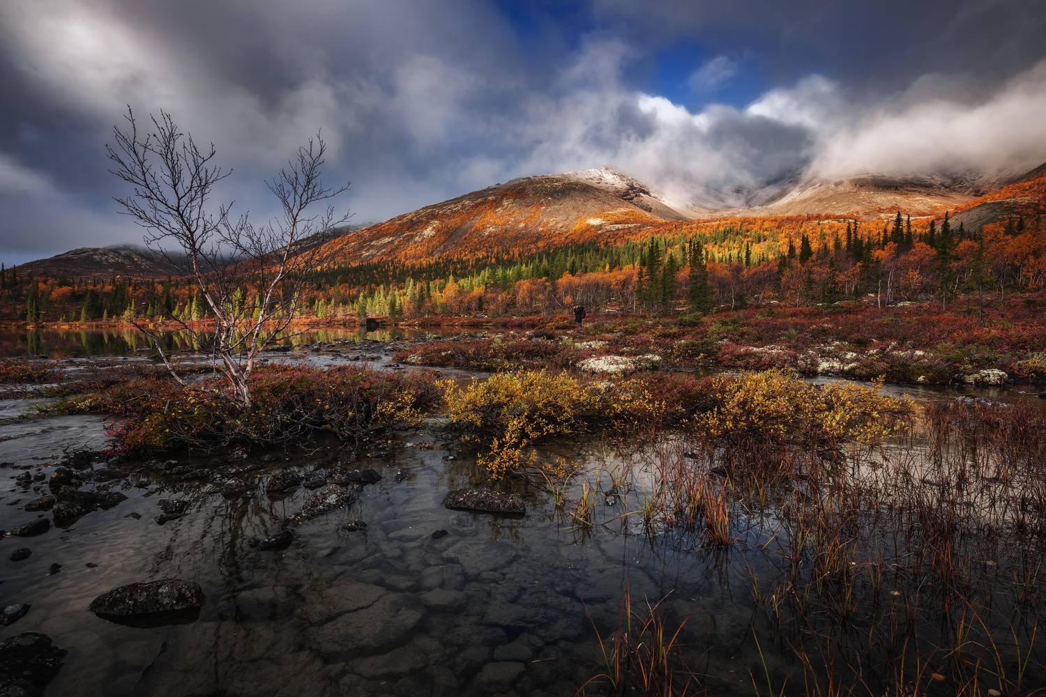 , Максим Евдокимов